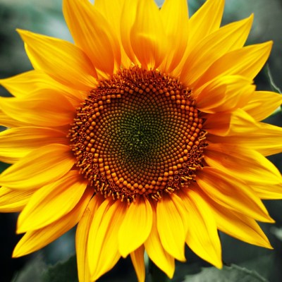 1920 x 1080 HD Wallpapers 1872